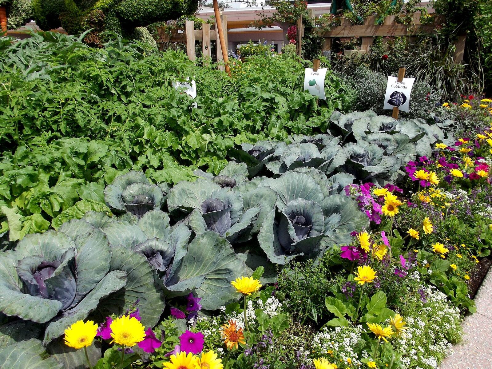 Potager